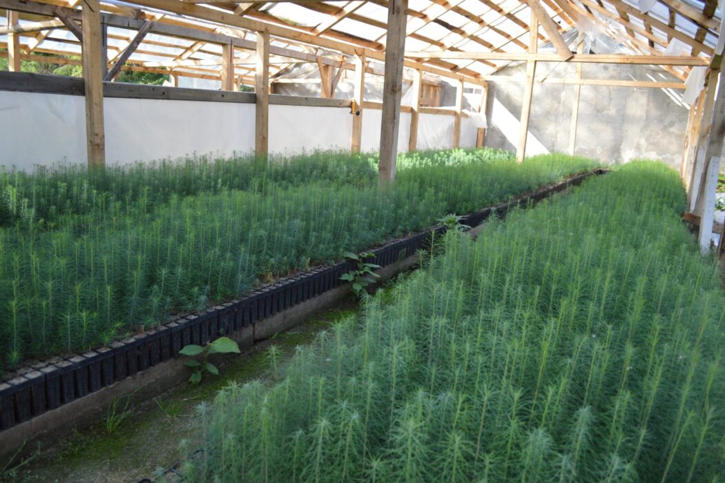 OS Privat Josenii Bargaului BN